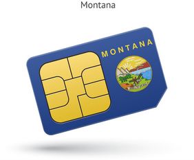 Сим карта США штат Монтана для приема СМС